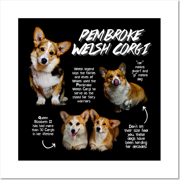 Pembroke Welsh Corgi Fun Facts Wall Art by Animal Facts and Trivias